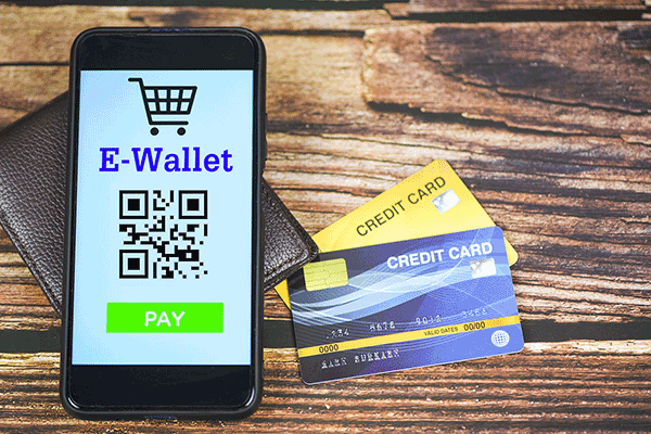 Larixweb e-wallet